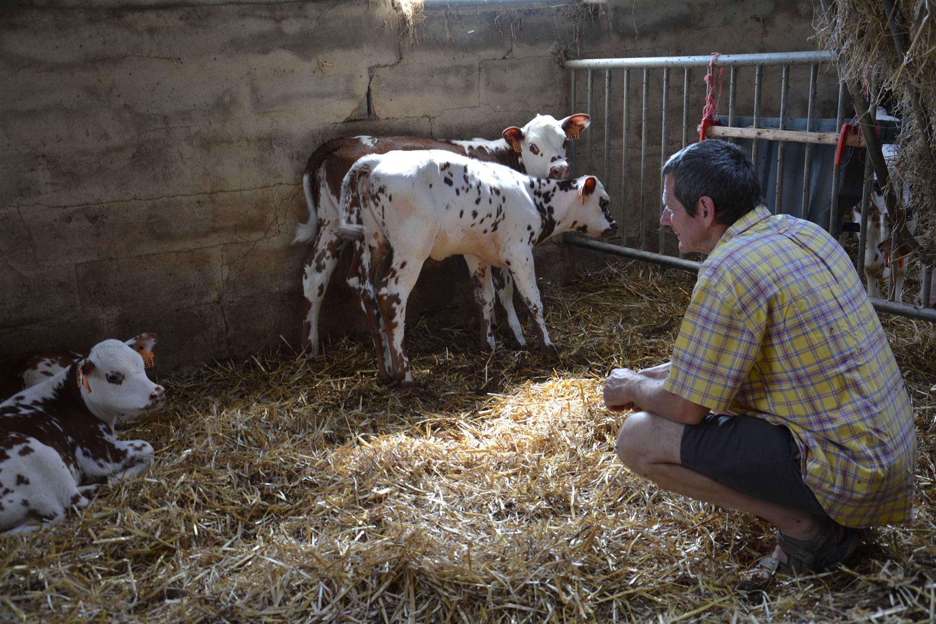 FERME DE ST AUVIEU - M et Mme MOUSSET.J et I - CREMES ET YAOURTS