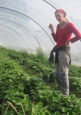 FRAISE ET COMPAGNIE - Mme POINCHEVAL.M - PRODUCTION DE FRAISE FRAISE ET COMPAGNIE - Mme POINCHEVAL.M - PRODUCTION DE FRAISE
