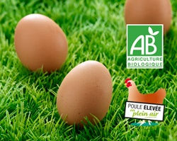 LES BIO'S OEUFS DU COUDRAY LES BIO'S OEUFS DU COUDRAY