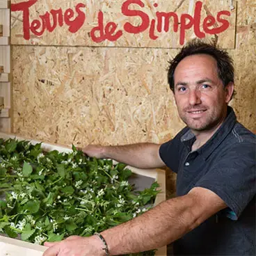 TERRES DE SIMPLES - M MARY.M - TISANES ET INFUSIONS